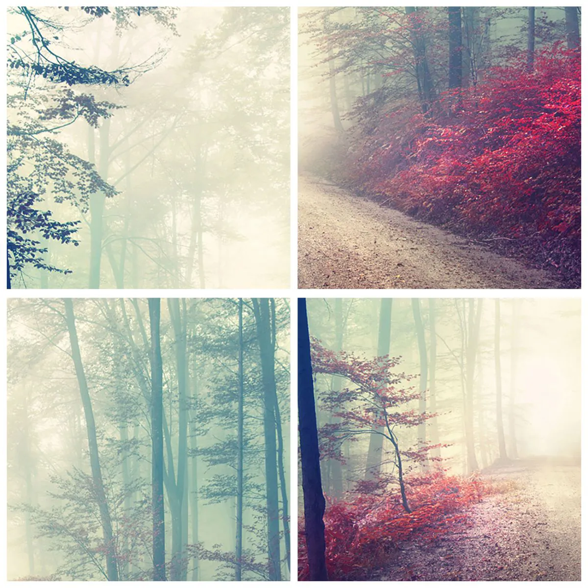 Billede på glas - Hvor er det godt at stå op ved daggry - 120x50 cm