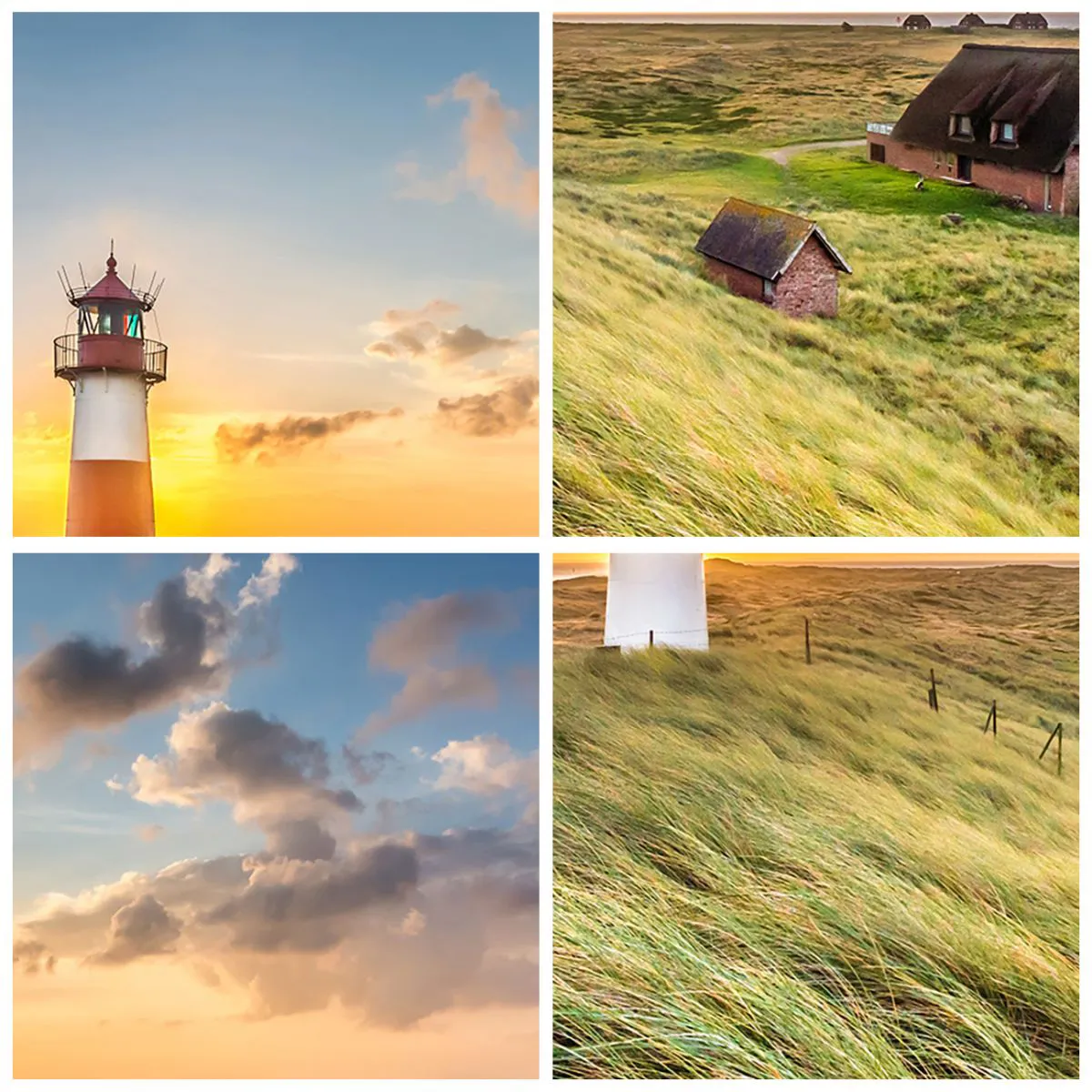 Glasbild - Bild auf glas - Zwischen den Wellen - 90x30 cm