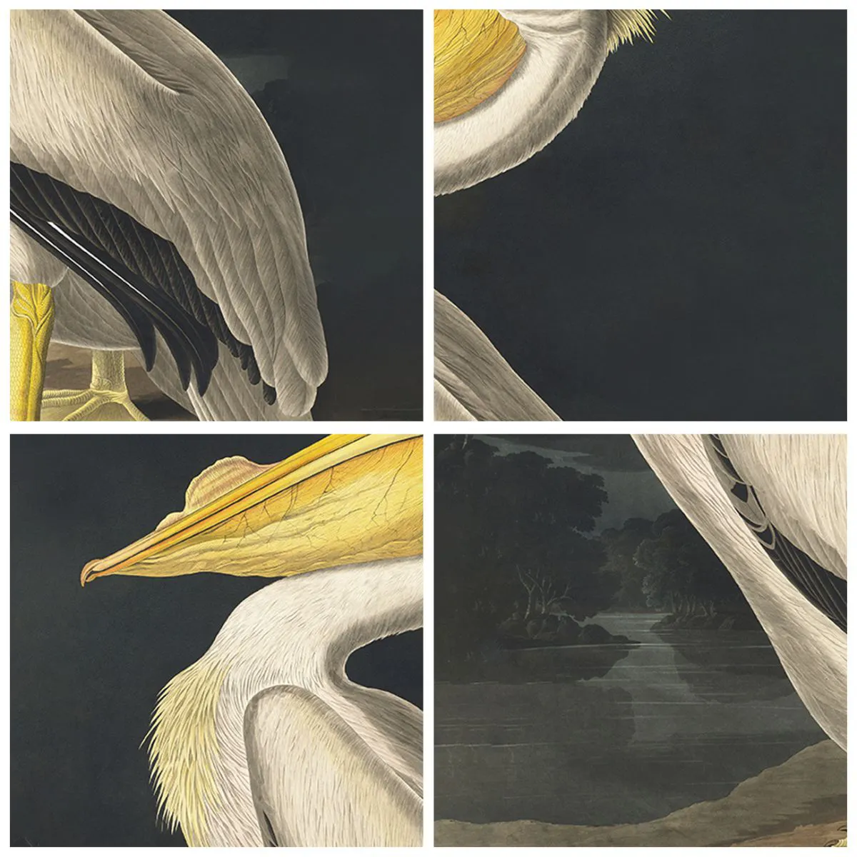 Cuadro sobre vidrio - Impresiones sobre Vidrio - Con orgullo - 70x100 cm