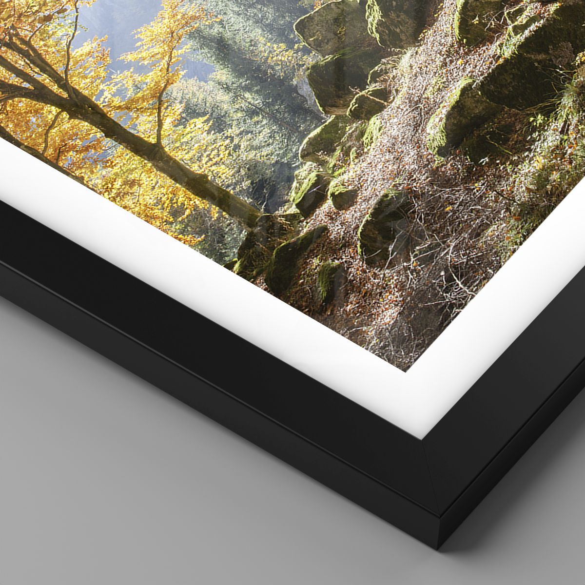 Tableau déco Paysage vue montagnes forêt nature 40x60