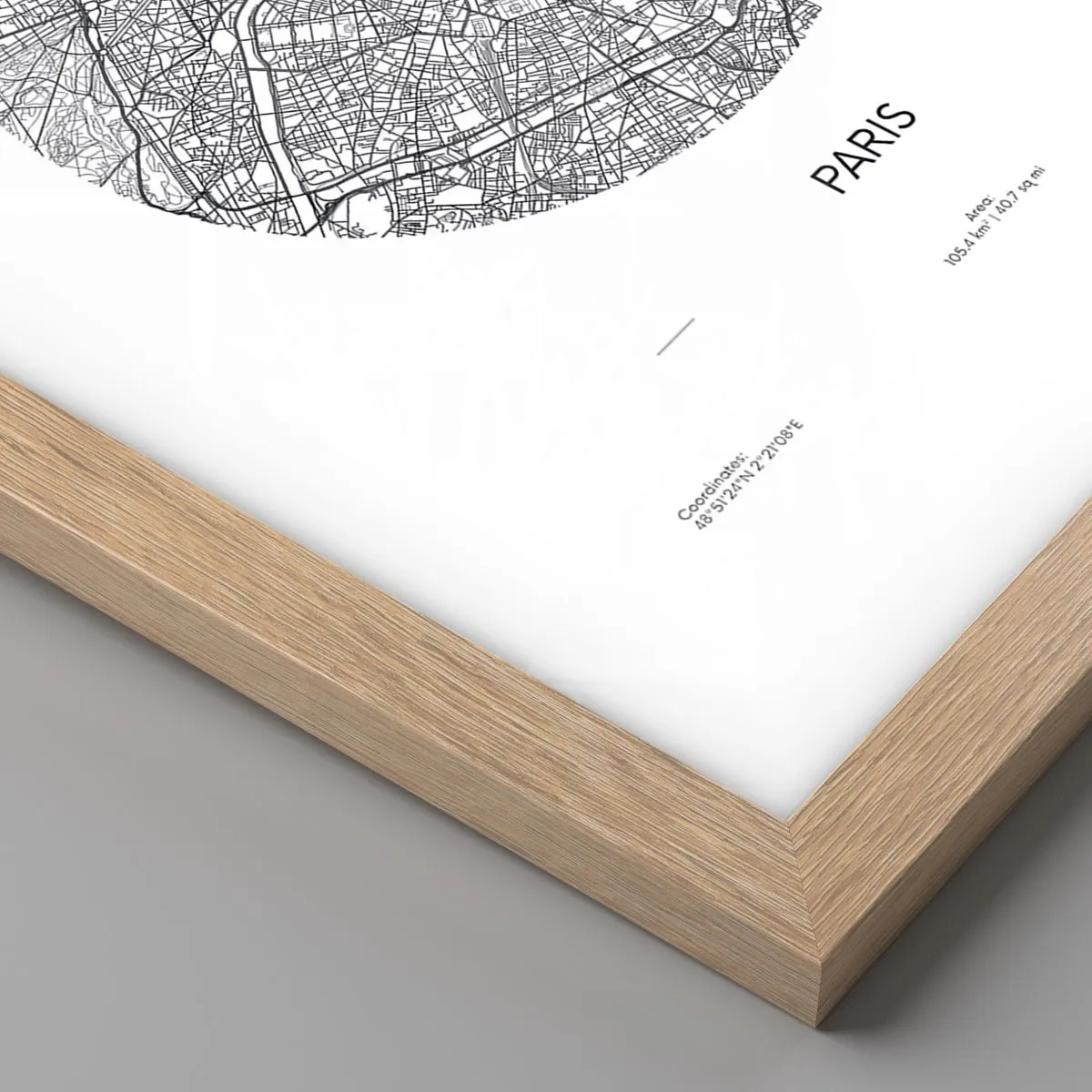 Plakát v rámu světlý dub - Anatomie Paříže - 70x50 cm