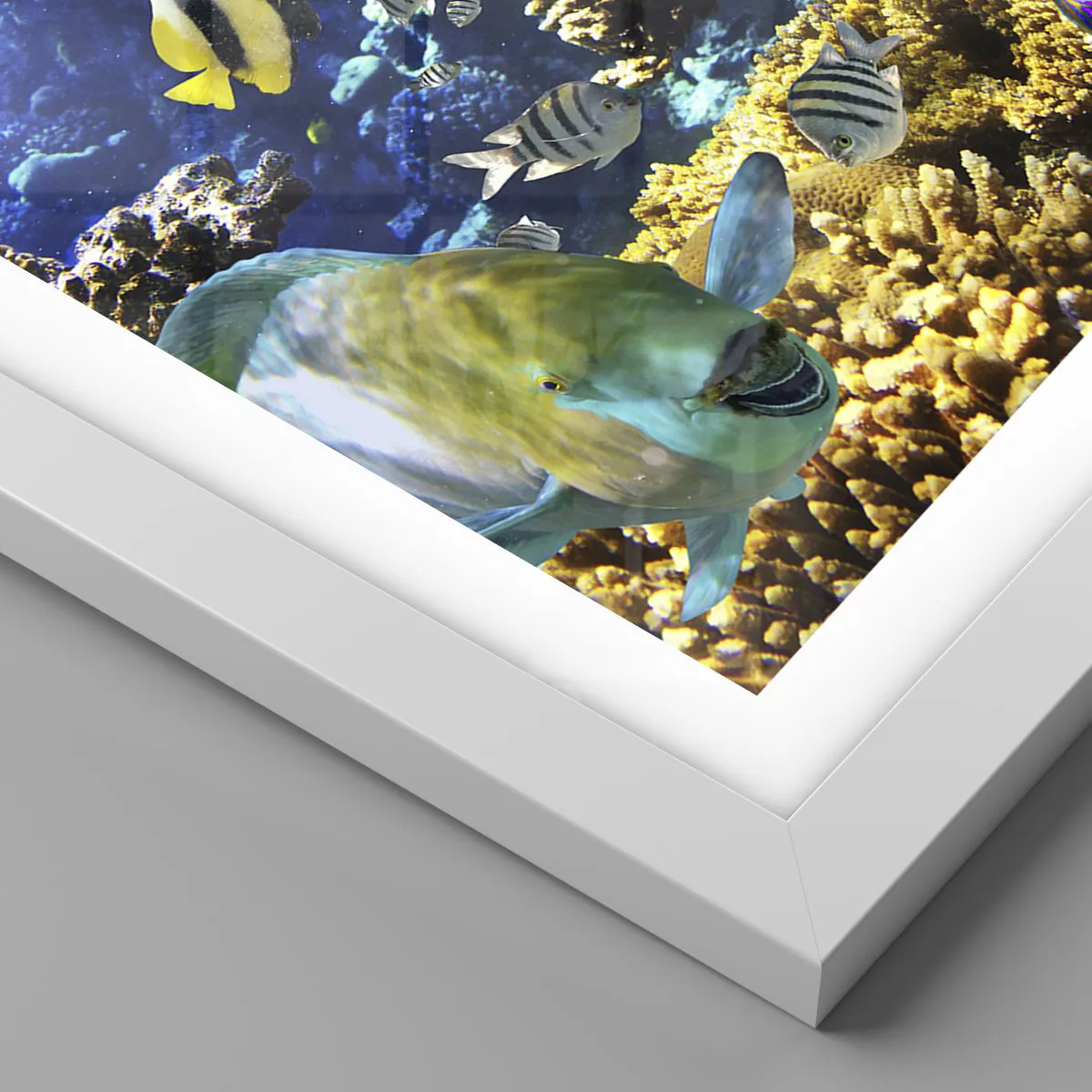 Poster in cornice bianca - Traffico intenso sulla via delle vacanze - 50x70 cm