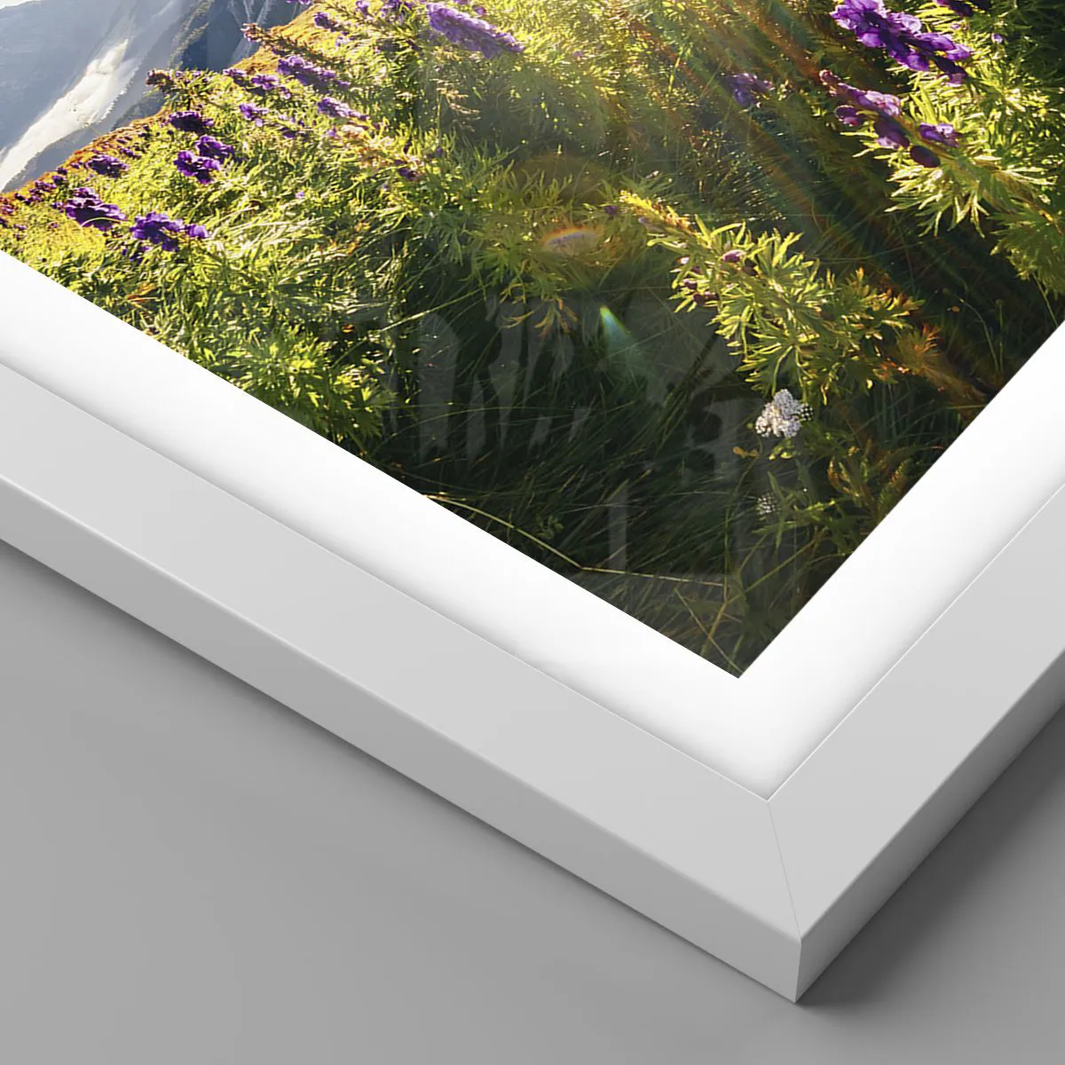 Affiche dans un cadre blanc - Poster - La vie secrète des herbes - 50x70 cm