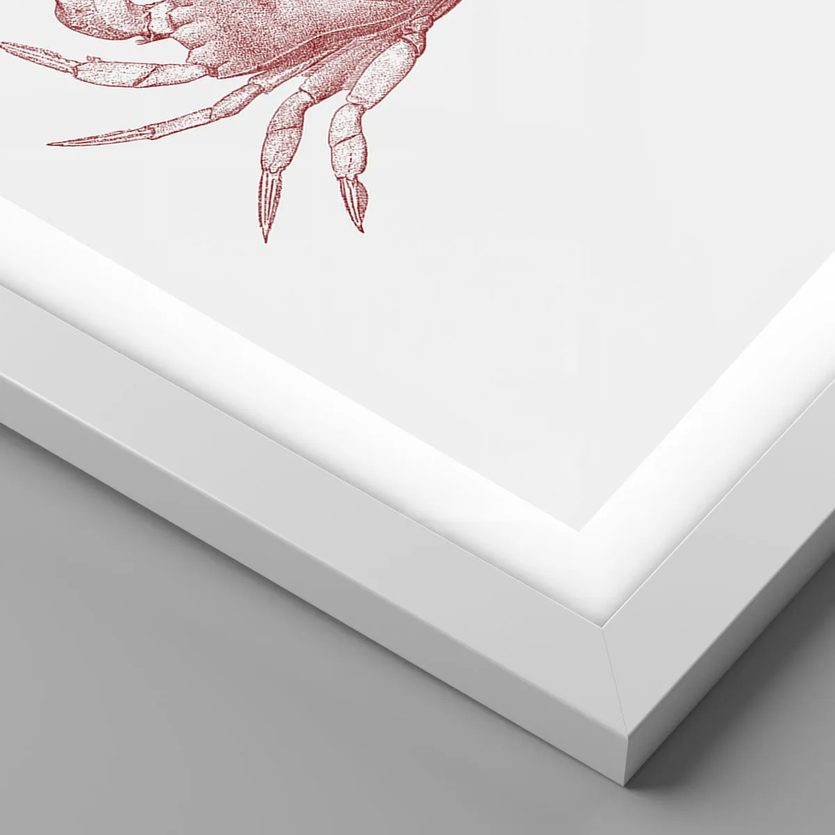 Affiche dans un cadre blanc - Poster - Le crabe des crabes - 61x91 cm