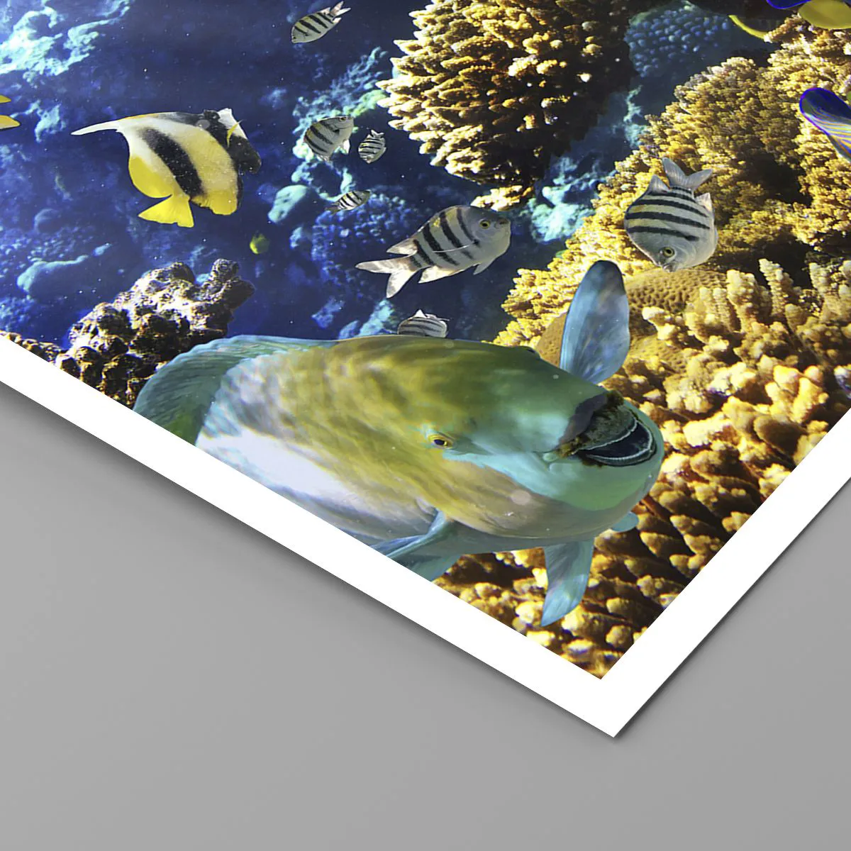 Affiche - Poster - Un monde sous-marin avec des poissons colorés et un récif de corail - 50x70cm - Beaucoup de circulation sur la route des vacances - Décoration murale moderne pour le salon et la chambre ARTTOR