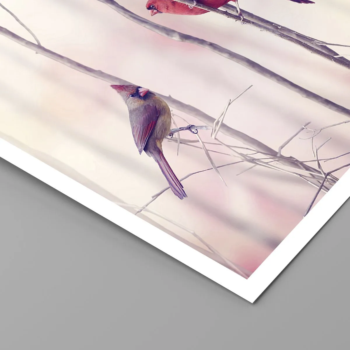 Plakat - Fortællingen om den lyserøde skov - 30x30 cm