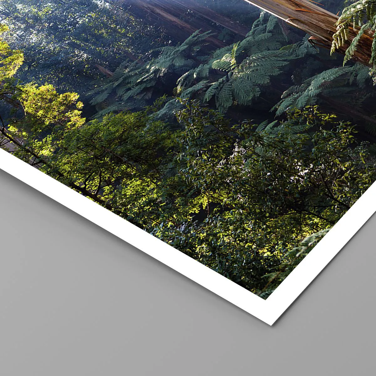 Plakat - Baśń lasu - 30x30 cm