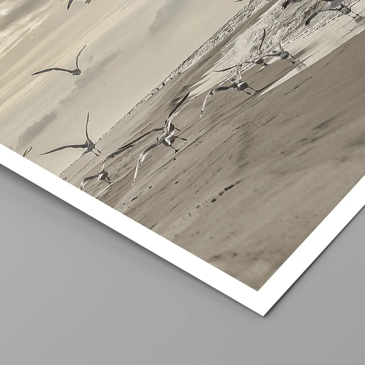 Affiche - Poster - Le bruit de la mer, le chant des oiseaux - 70x50 cm