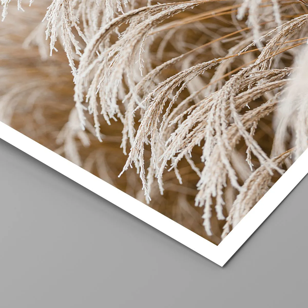 Poster - Verbeuge dich vor der Herbstsonne - 70x100 cm