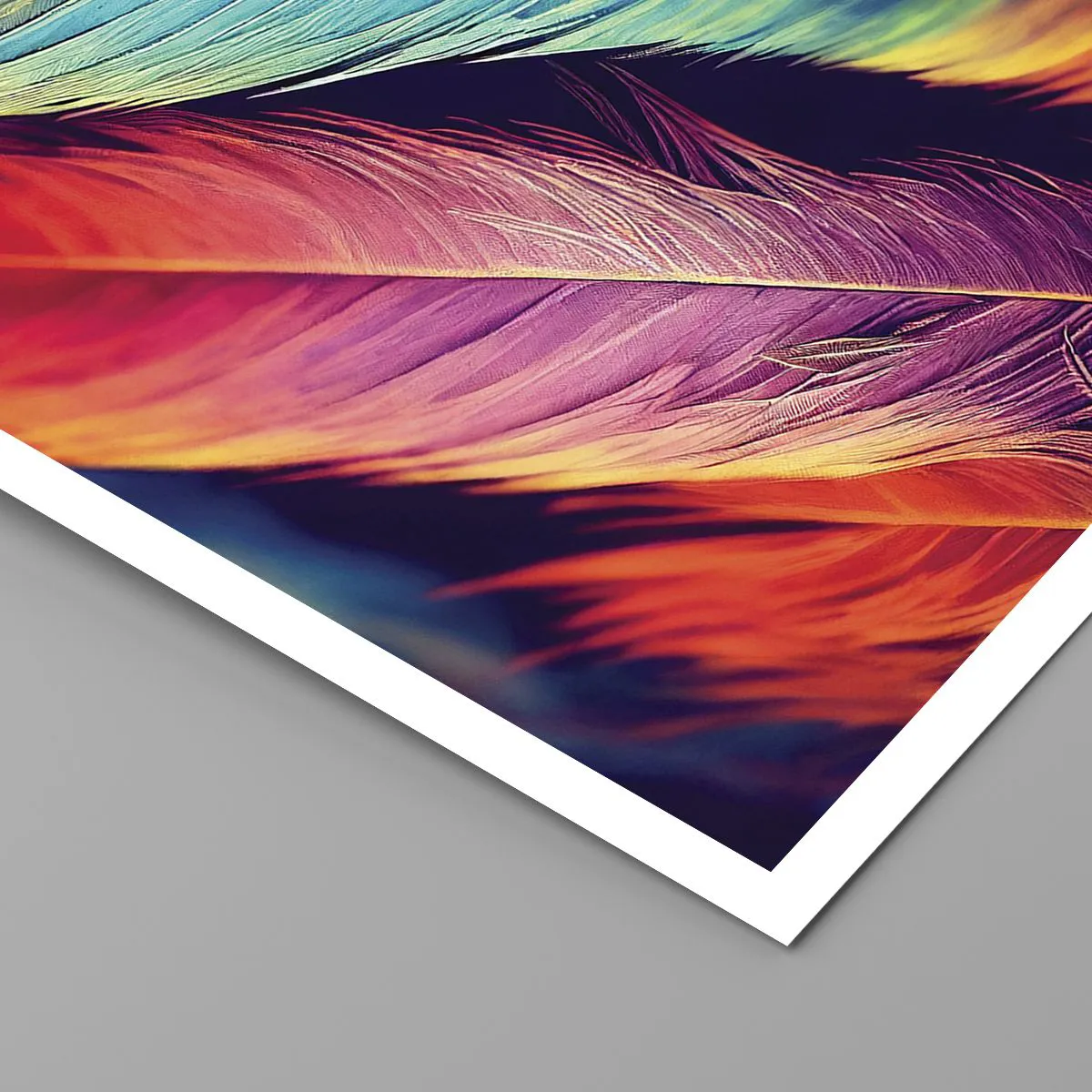 Affiche - Poster - Arc-en-ciel de plumes - 61x91 cm