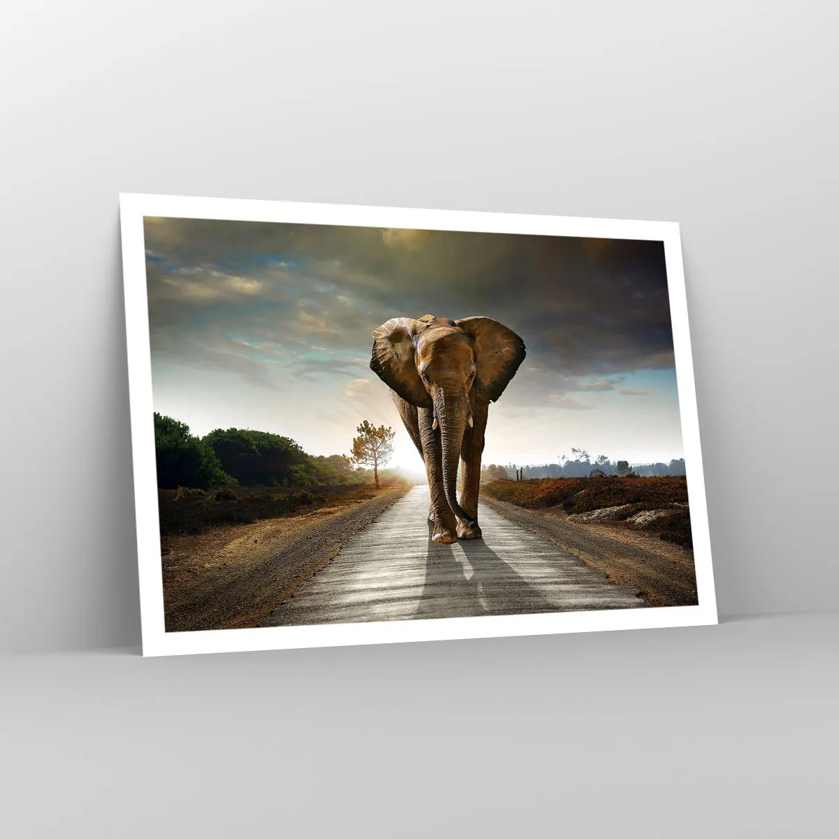 Affiche - Poster - Un éléphant marchant le long d'une route à travers un paysage au coucher du soleil - 100x70cm - Et pas du tout en porcelaine - Décoration murale moderne pour le salon et la chambre ARTTOR