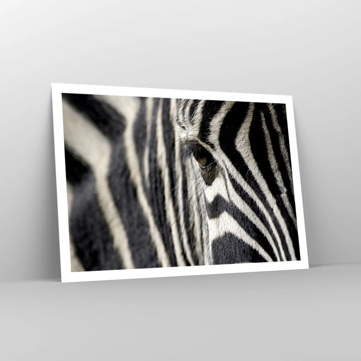 Affiche - Poster - Gros plan de l'œil d'un zèbre avec des rayures noires et blanches - 100x70cm - Portrait en rayure - Décoration murale moderne pour le salon et la chambre ARTTOR