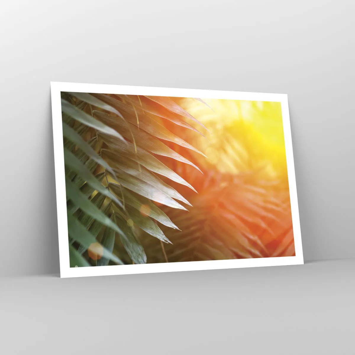 Poster - Palmblätter in den Strahlen des Sonnenuntergangs - 100x70cm - Morgen im Dschungel - Moderne Wanddekoration für Wohnzimmer und Schlafzimmer ARTTOR