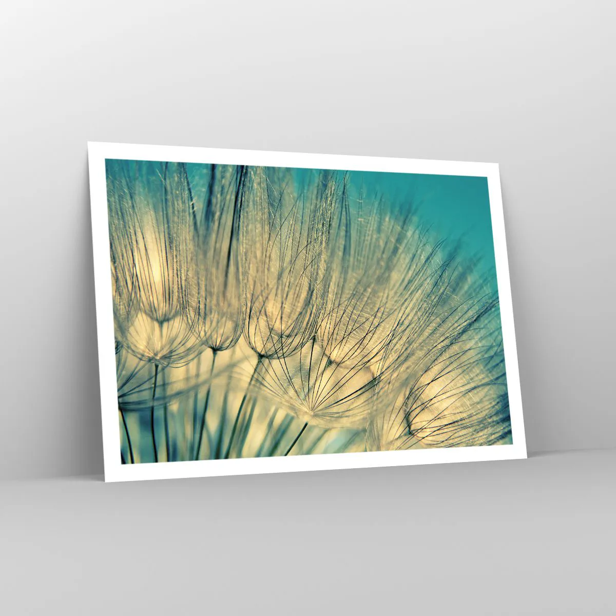 Poster - In afwachting van de wind - 100x70 cm