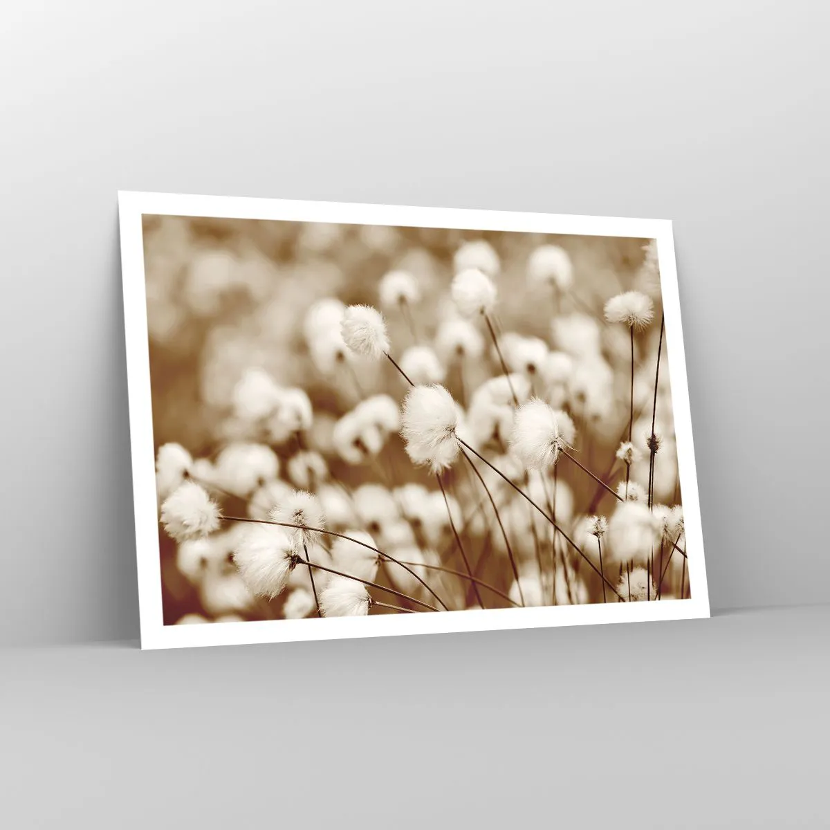 Póster - Un campo de delicadas plantas en tonos sepia. - 100x70cm - Un mullido colchón - Decoración de pared moderna para salón y dormitorio ARTTOR