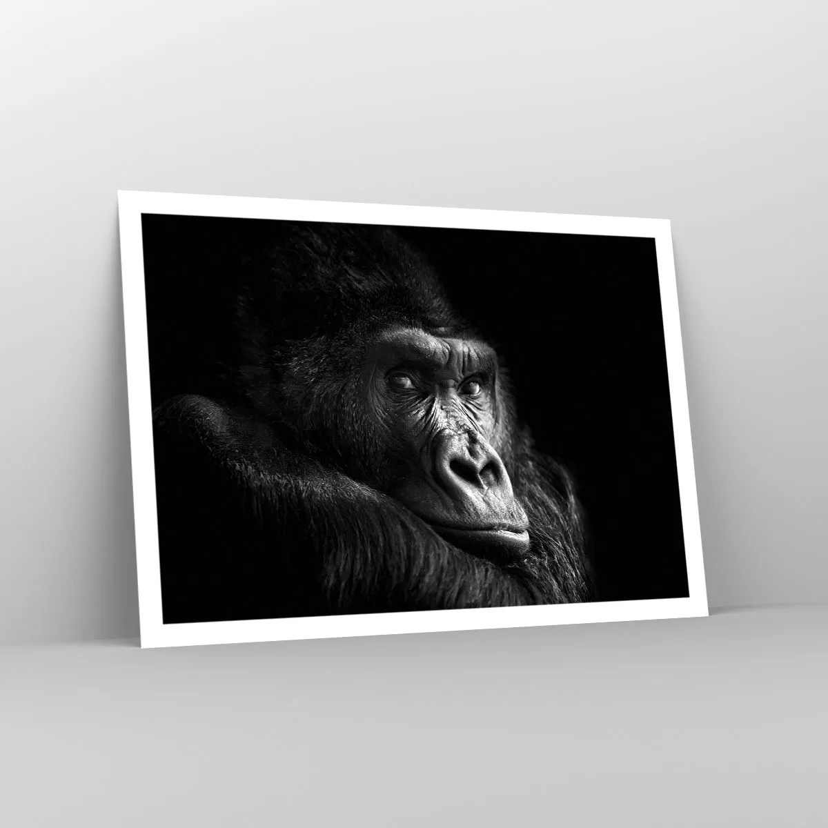 Affiche - Poster - Portrait noir et blanc d'un gorille majestueux - 100x70cm - Et qu'est-ce que tu regardes? - Décoration murale moderne pour le salon et la chambre ARTTOR