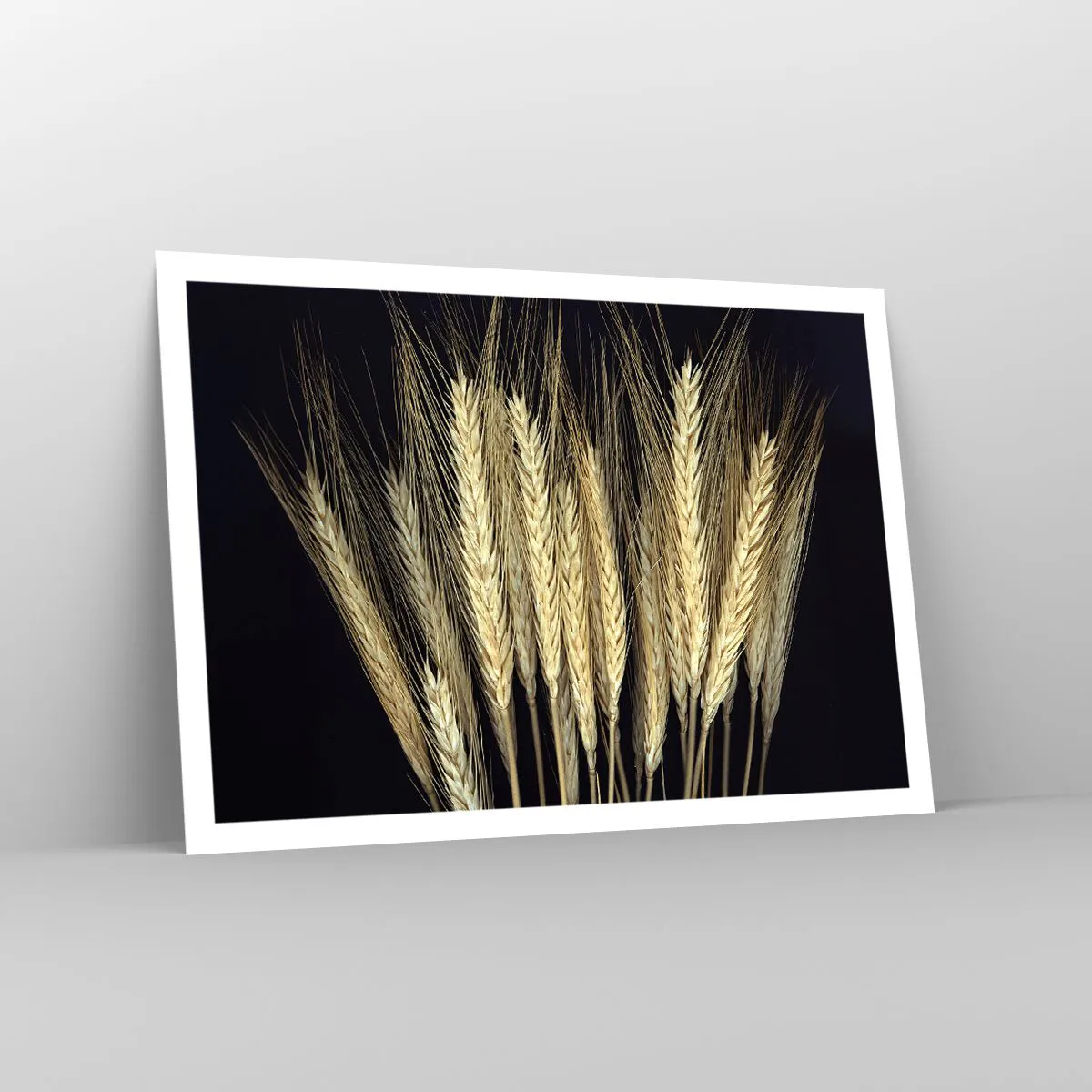 Póster - Espigas de trigo sobre fondo negro en estilo rústico - 100x70cm - Magia rústica - Decoración de pared moderna para salón y dormitorio ARTTOR