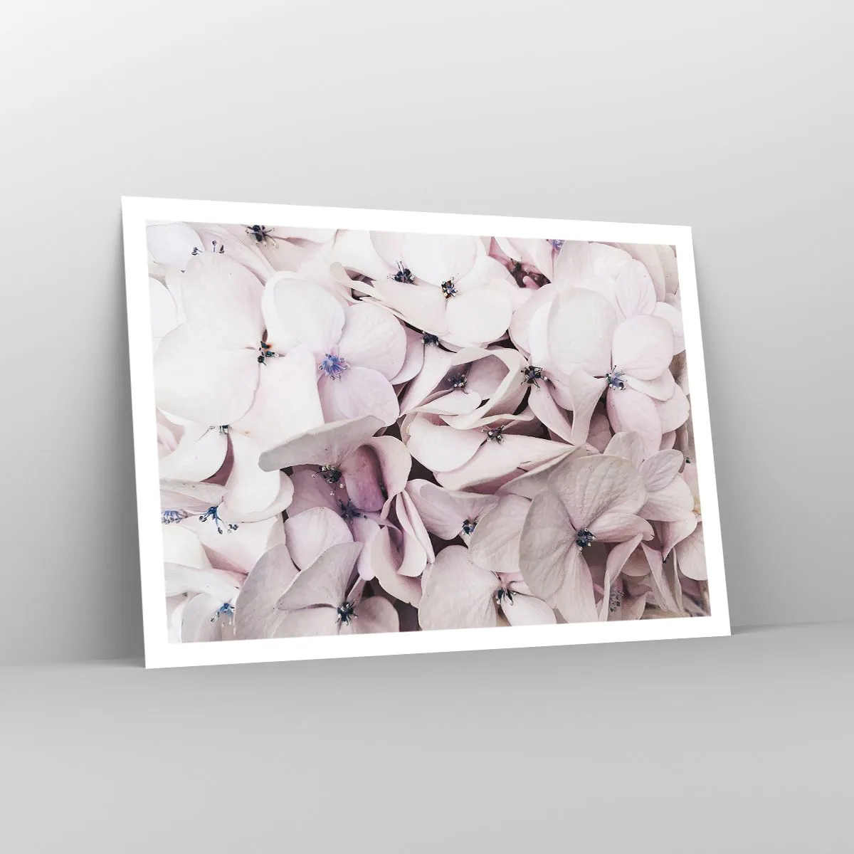 Poster - Într-un potop de flori - 100x70 cm