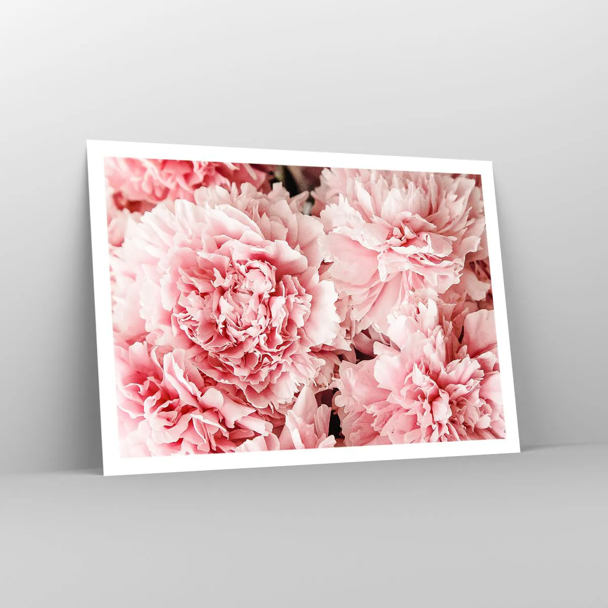 Plakat - Lyserød drøm - 100x70 cm