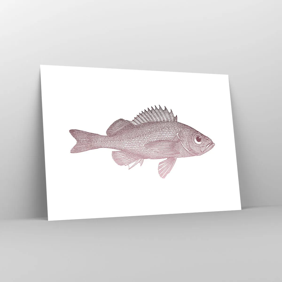 Poster - Detaillierte Darstellung eines Fisches auf weißem Hintergrund - 100x70cm - Großäugiger Fisch - Moderne Wanddekoration für Wohnzimmer und Schlafzimmer ARTTOR