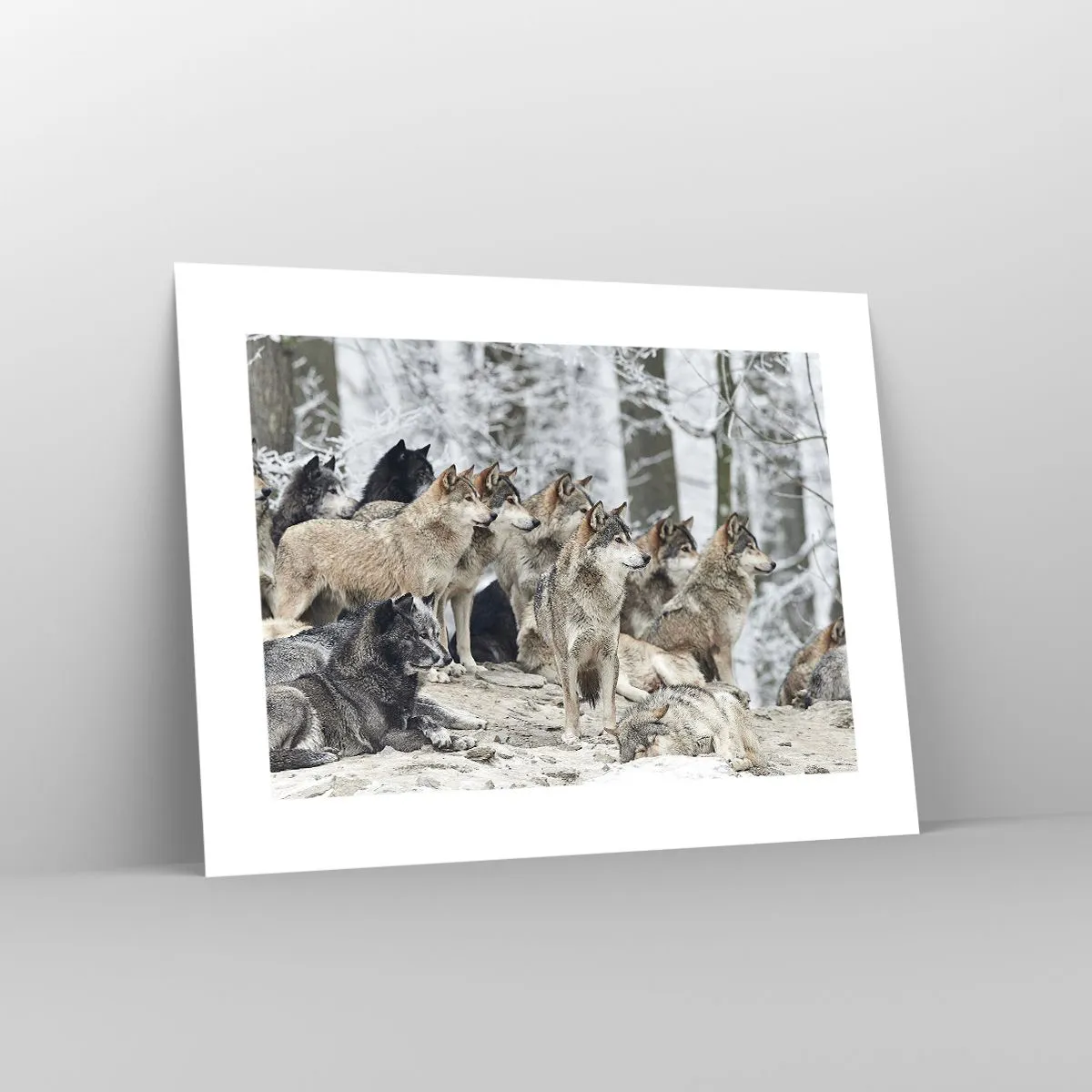 Plakat - Rodzina i przyjaciele - 40x30 cm