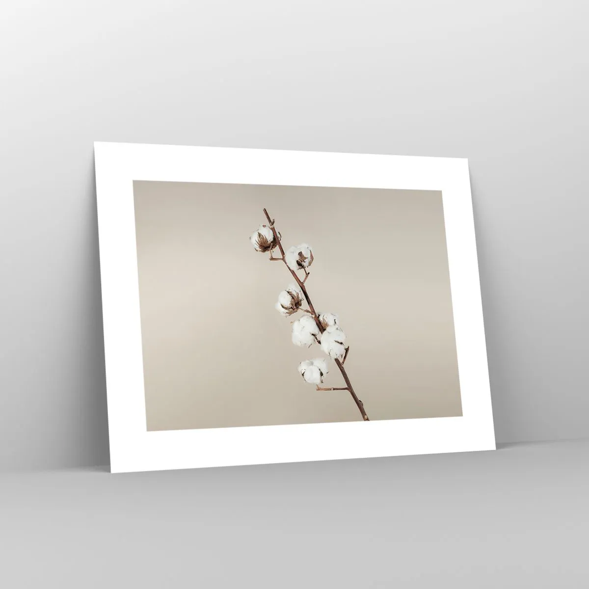 Plakát - U zdroje měkkosti - 40x30 cm