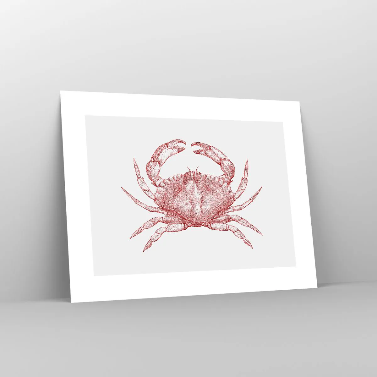 Poster - Crab Like No Other - 40x30 cm