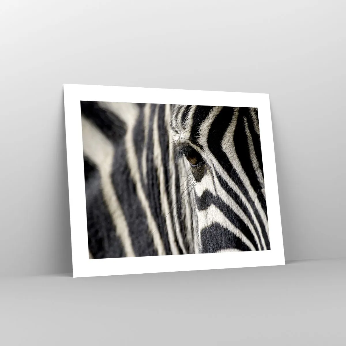 Poster - Striped Portrait - 50x40 cm