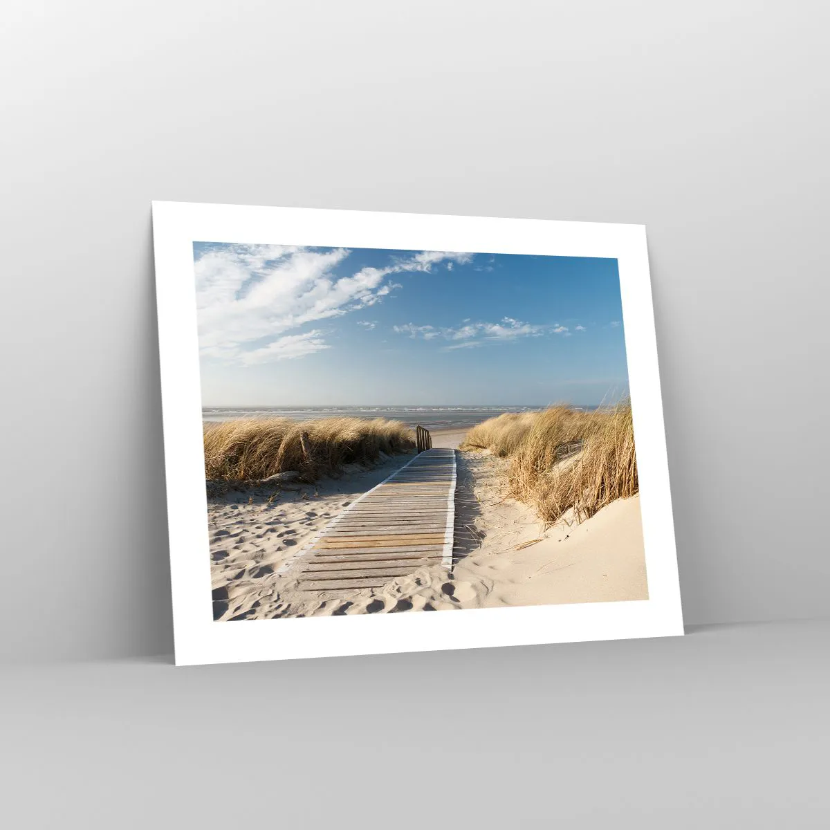 Poster - Behind a Dune, in the Hum of Trees - 50x40 cm