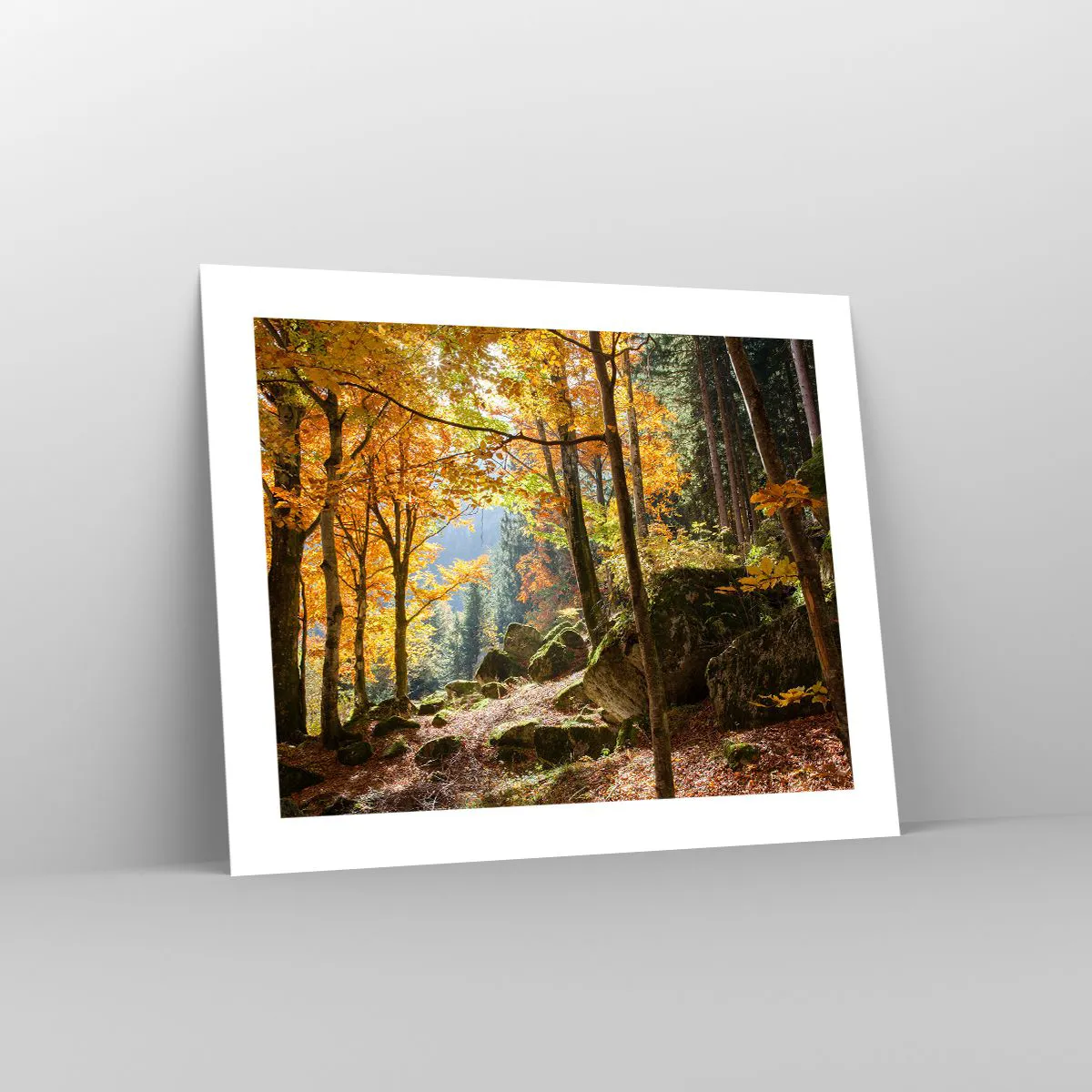 Affisch - Dags att vila - 50x40 cm