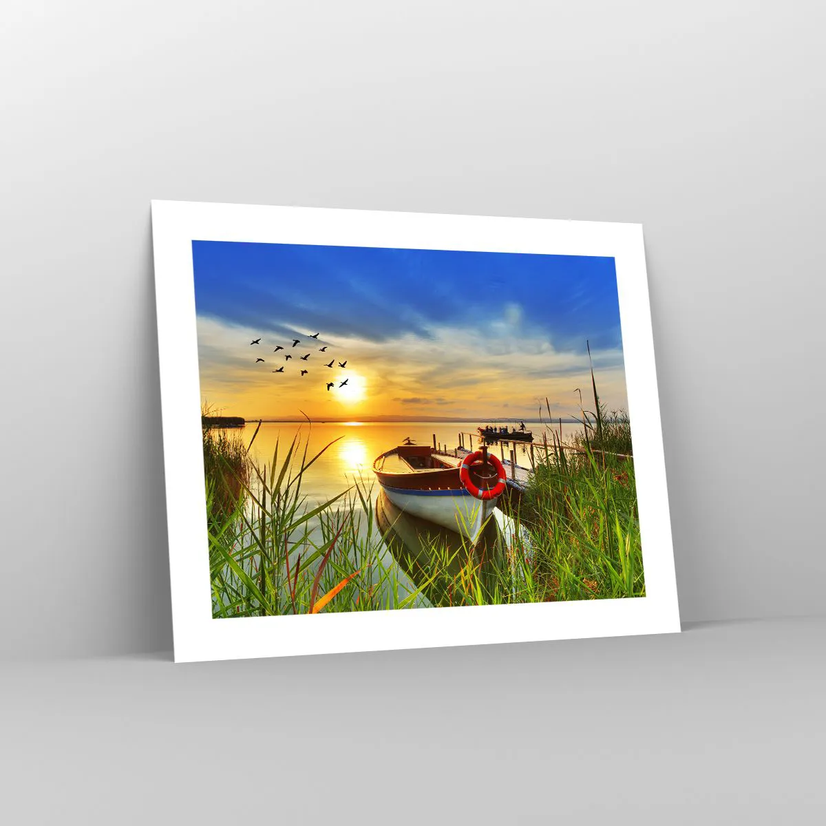 Poszter - A kormoránok már repülnek el - 50x40 cm