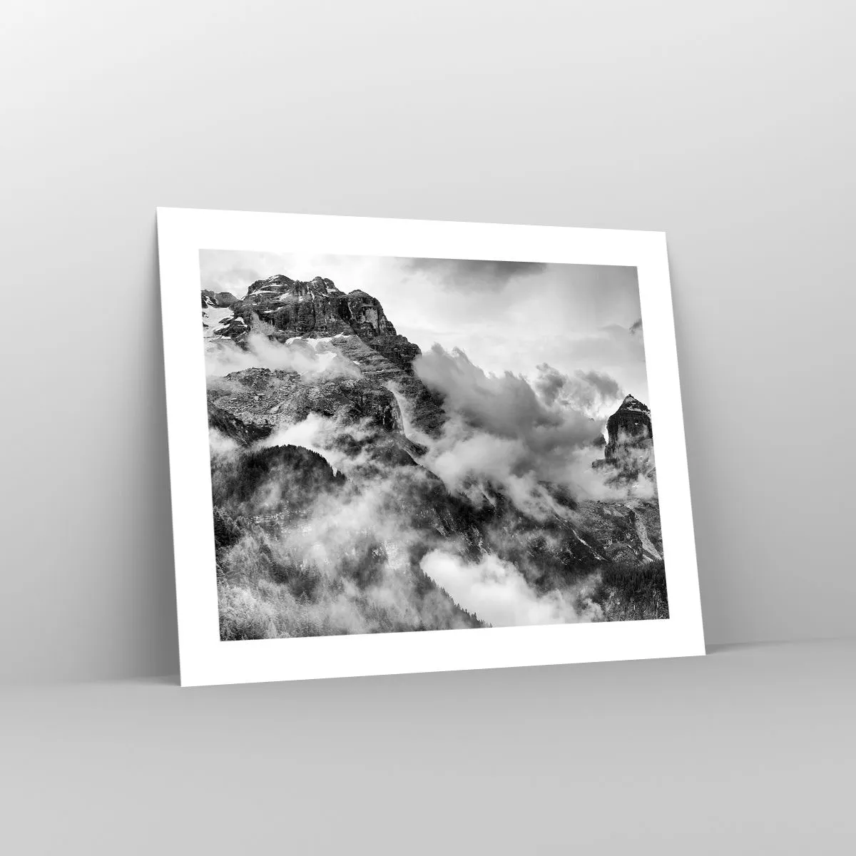 Plakat - Piękne i okrutne - 50x40 cm