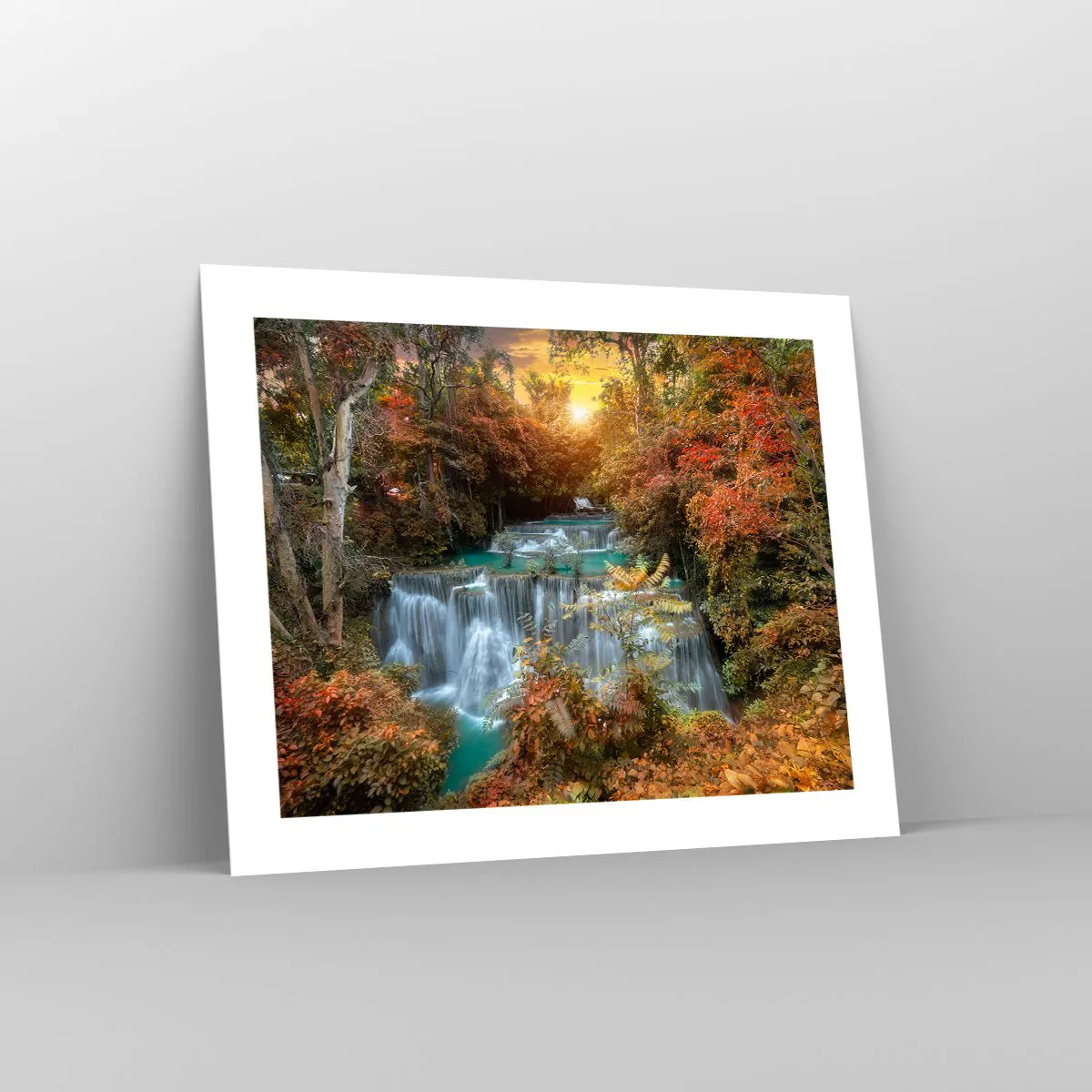 Plakát - Ukrytý poklad lesa - 50x40 cm