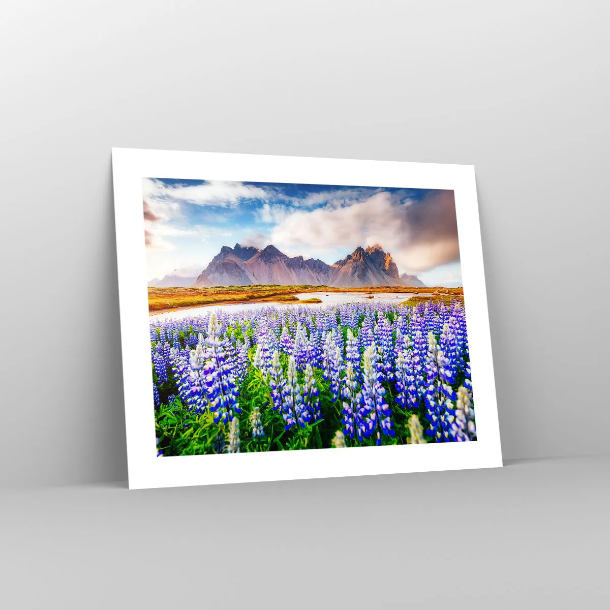 Poszter - Erő és szigorúság a szelídség mellett - 50x40 cm