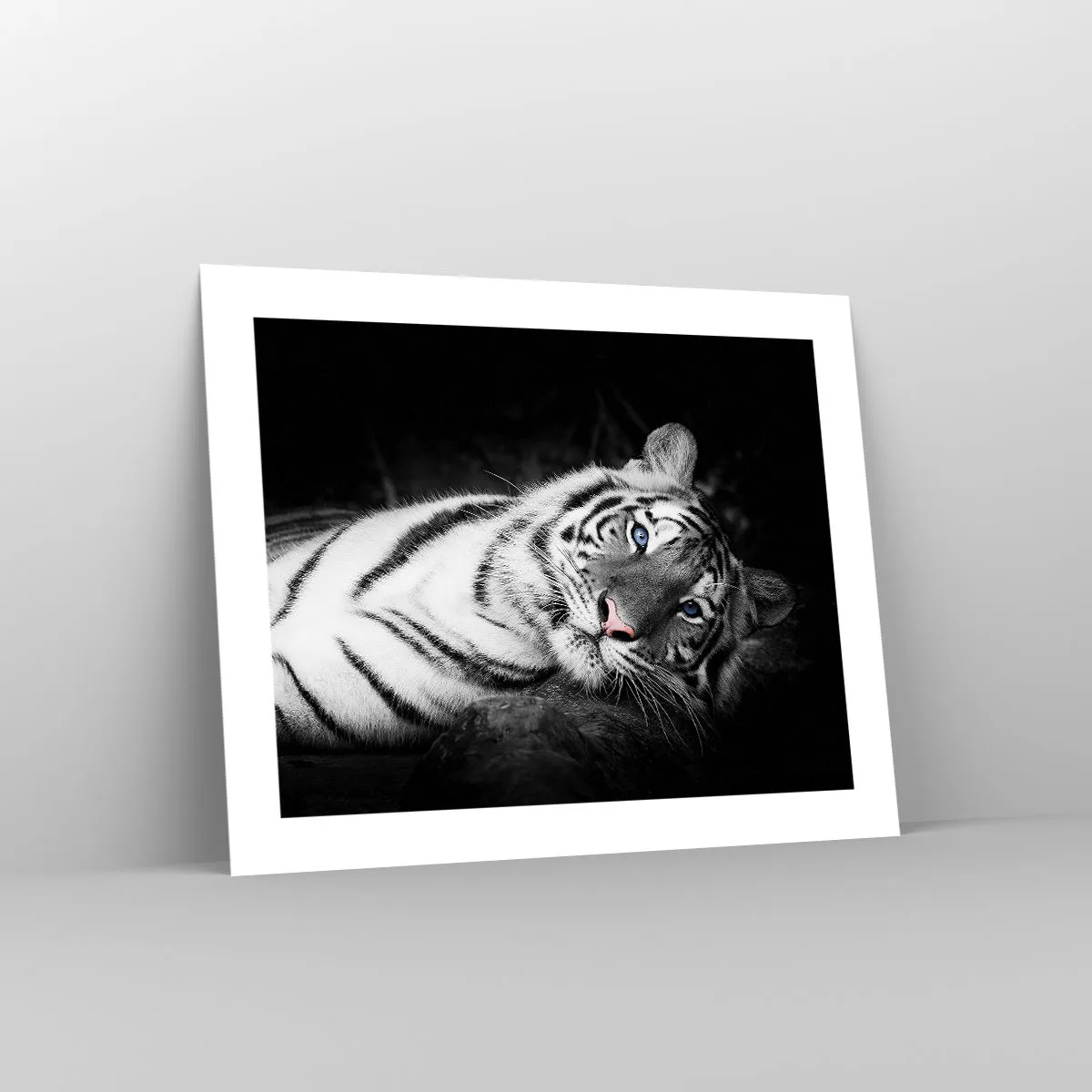 Affiche - Poster - Sauvagerie et paix - 50x40 cm