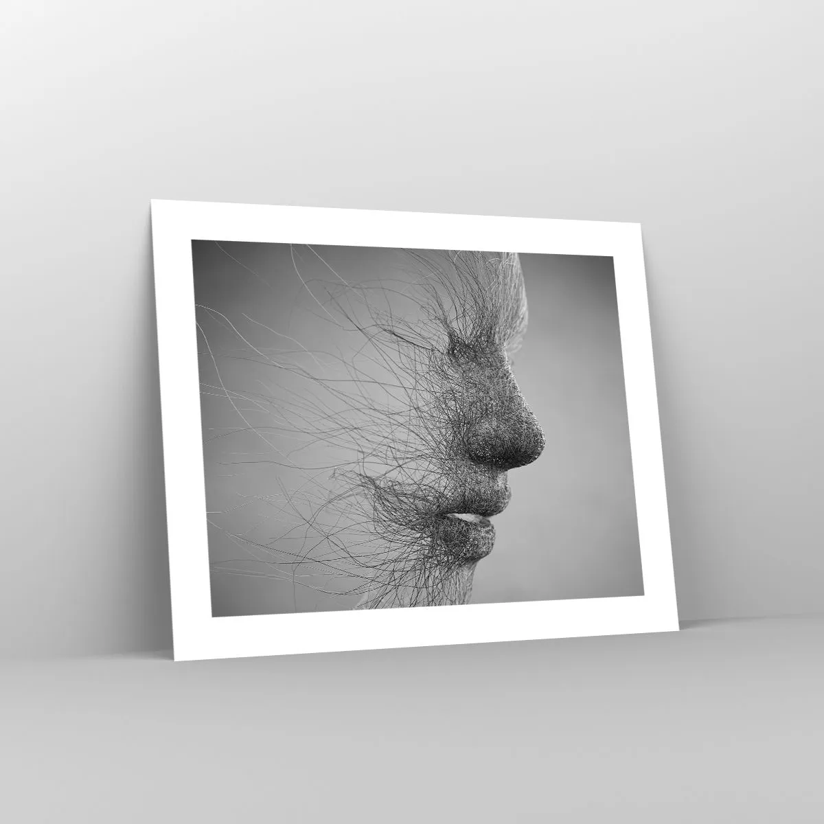 Affiche - Poster - L'esprit du vent - 50x40 cm