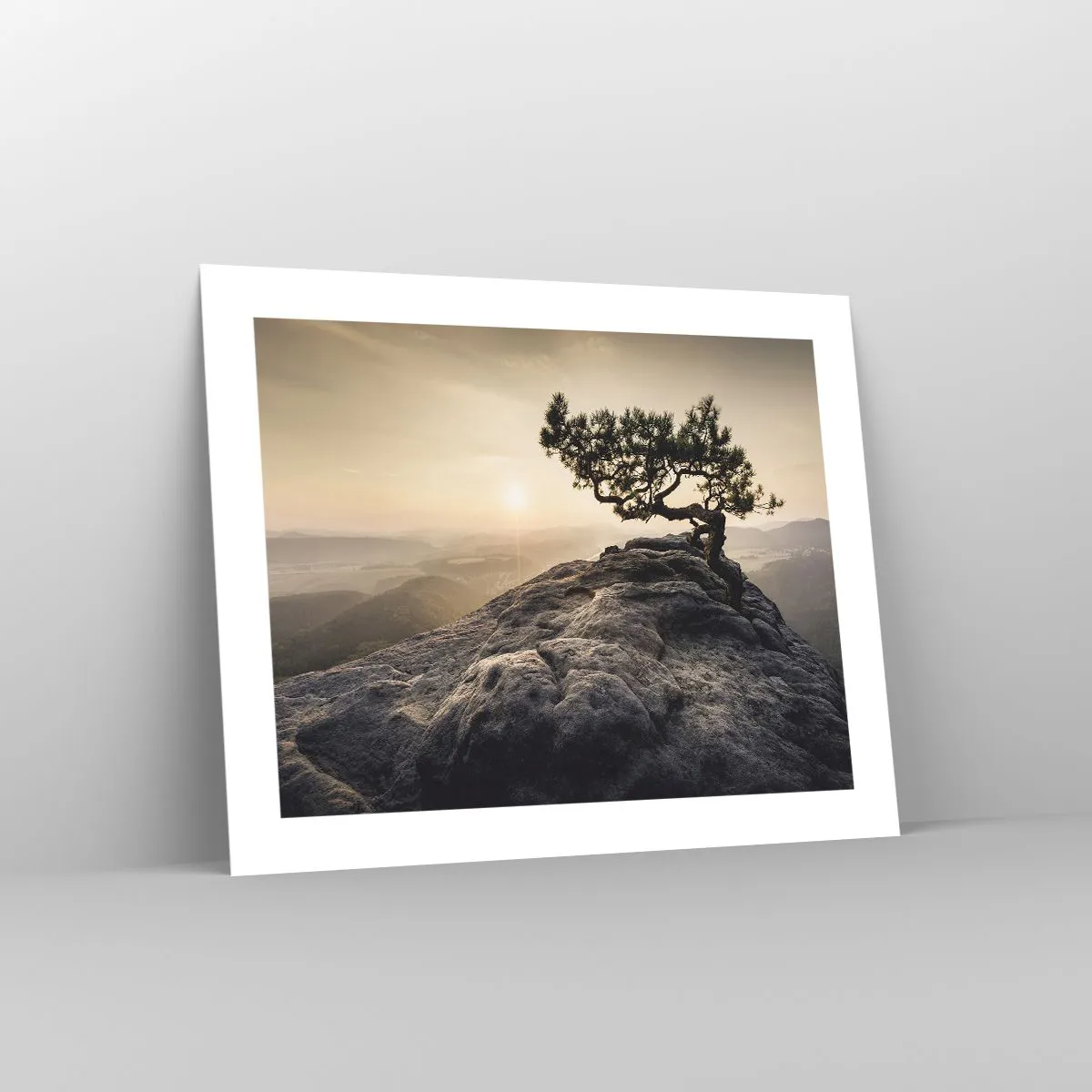 Poster - Life Always Wins - 50x40 cm