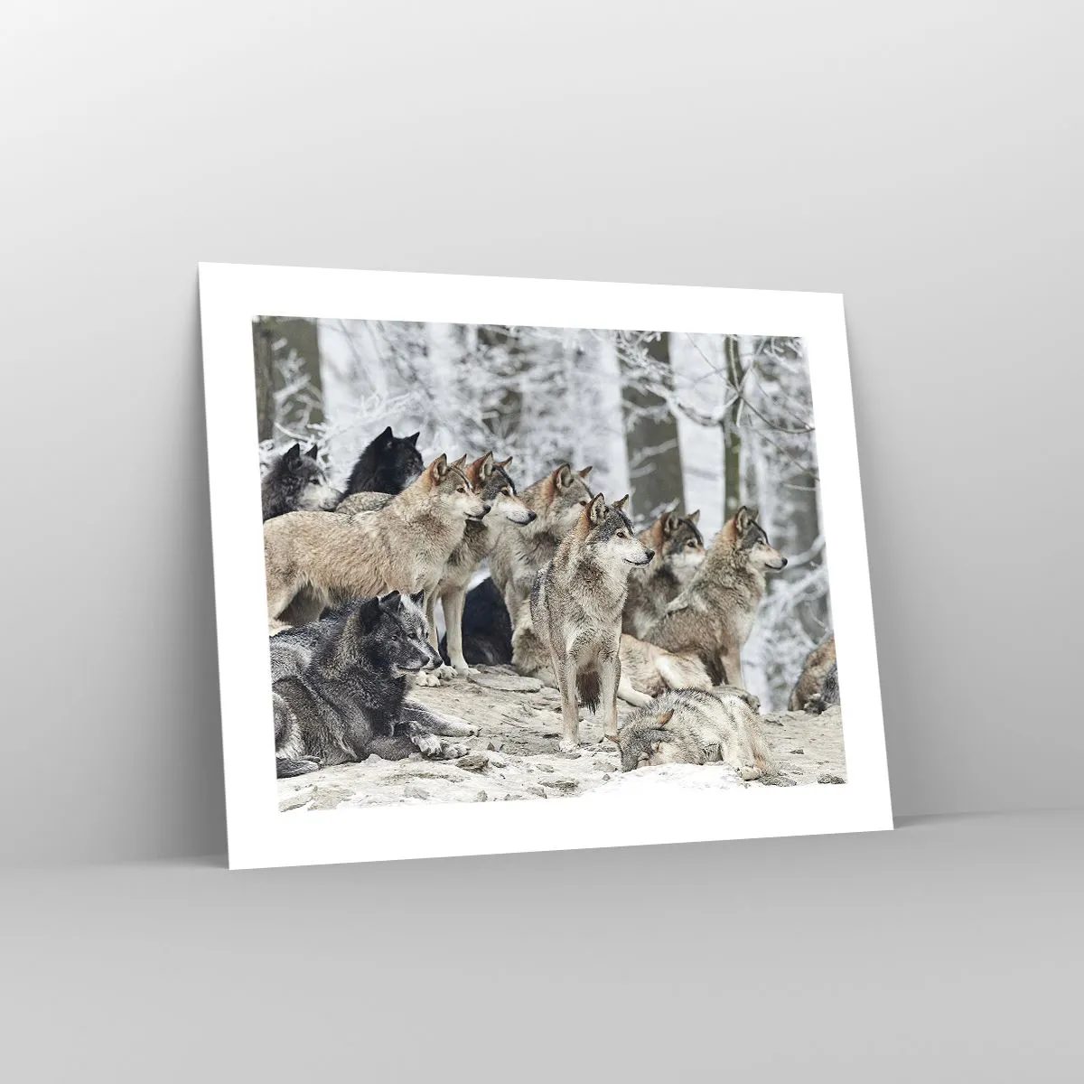 Plakat - Familie og venner - 50x40 cm