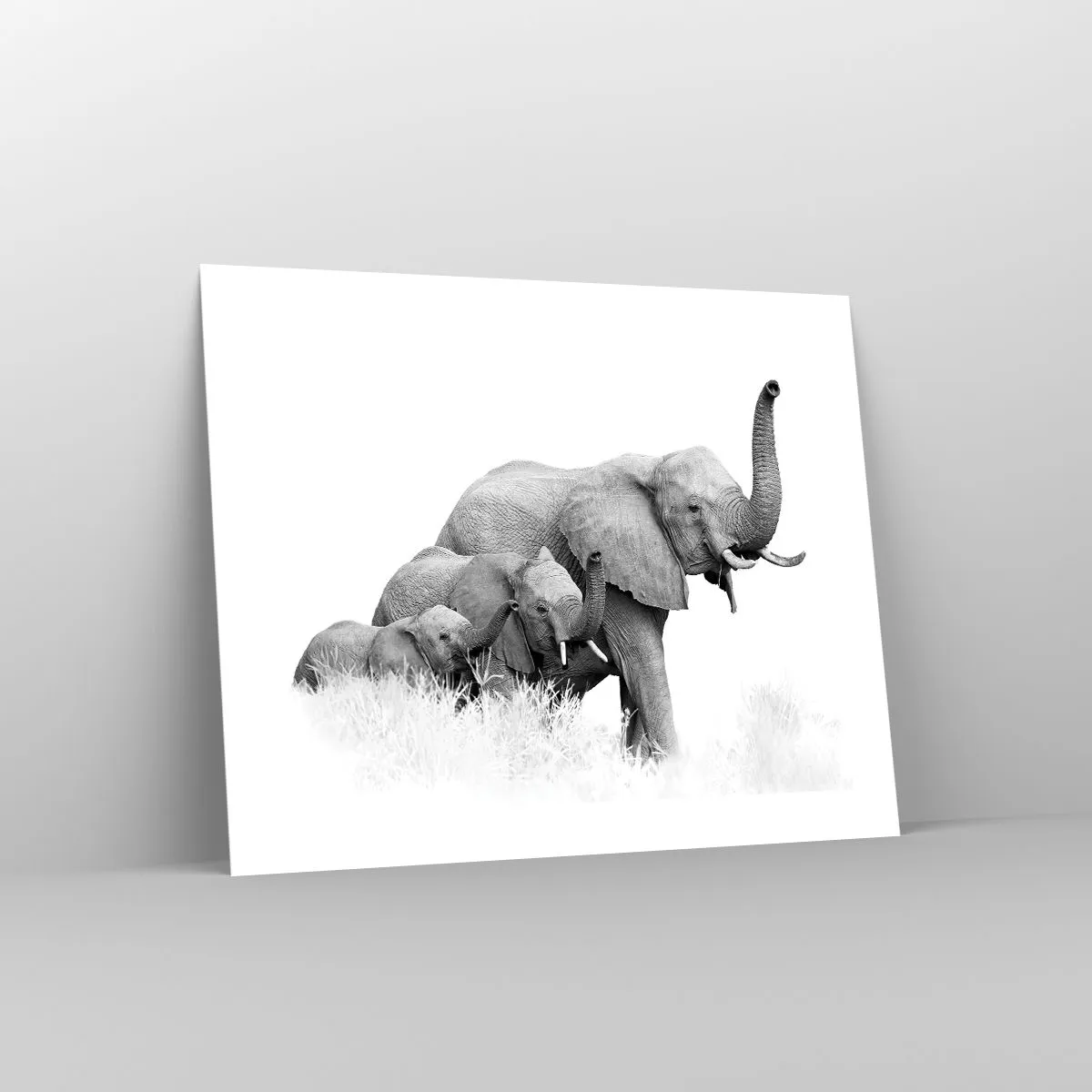 Plakát - Jedna, dvě, tři - 50x40 cm