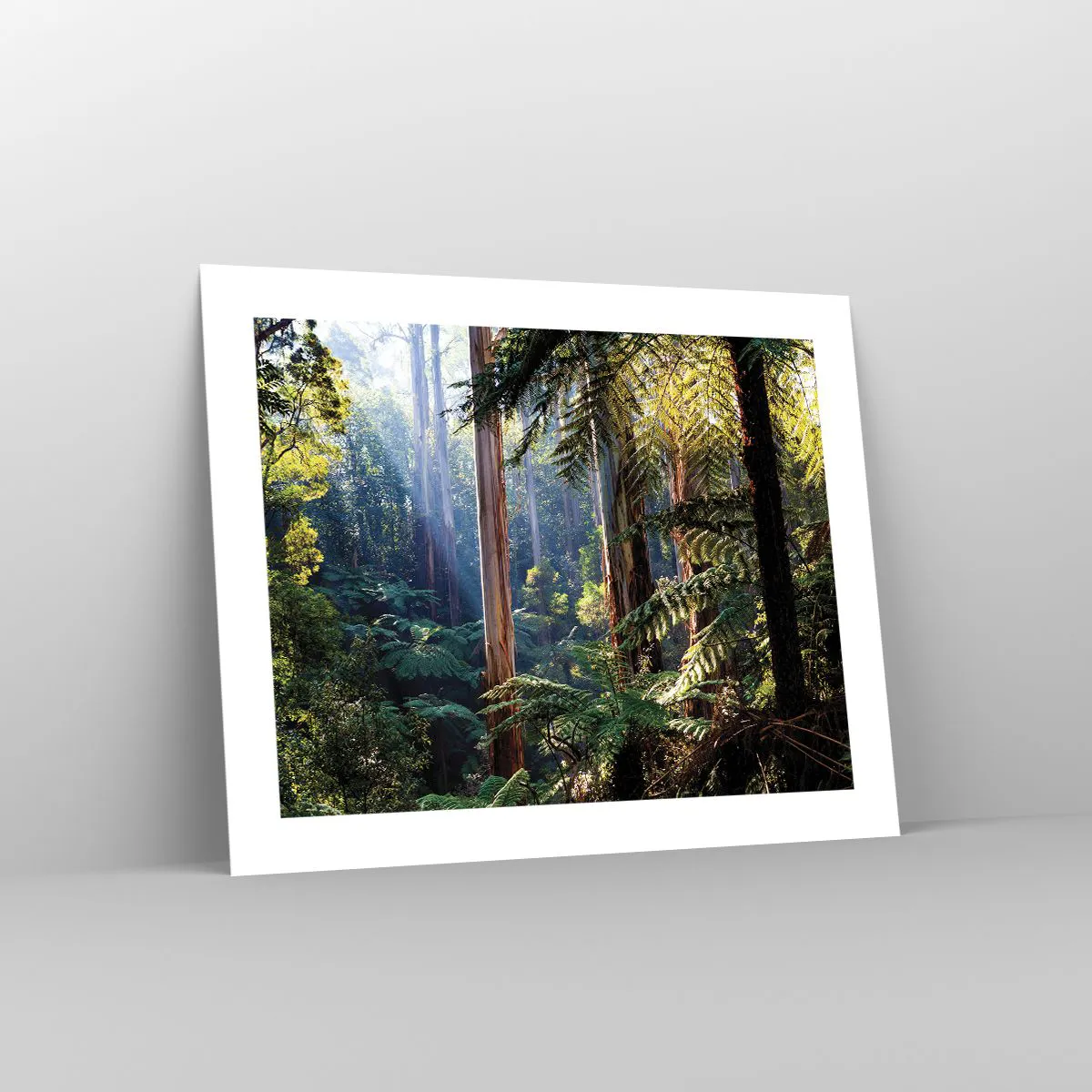 Plakát - Povídka lesa - 50x40 cm