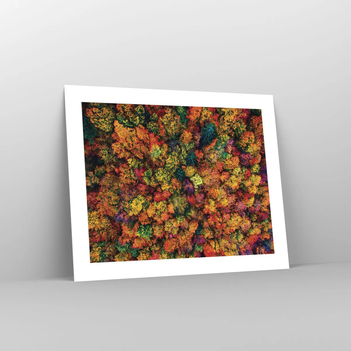 Poszter - Őszi facsokor - 50x40 cm