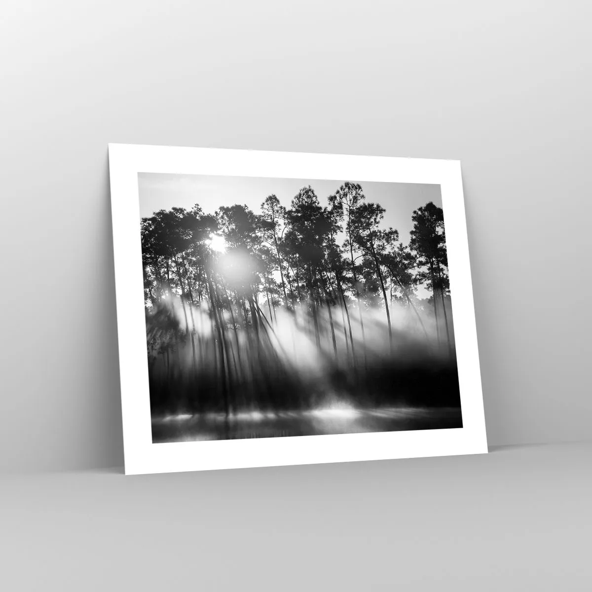 Plakat - Niepowstrzymane słońce - 50x40 cm