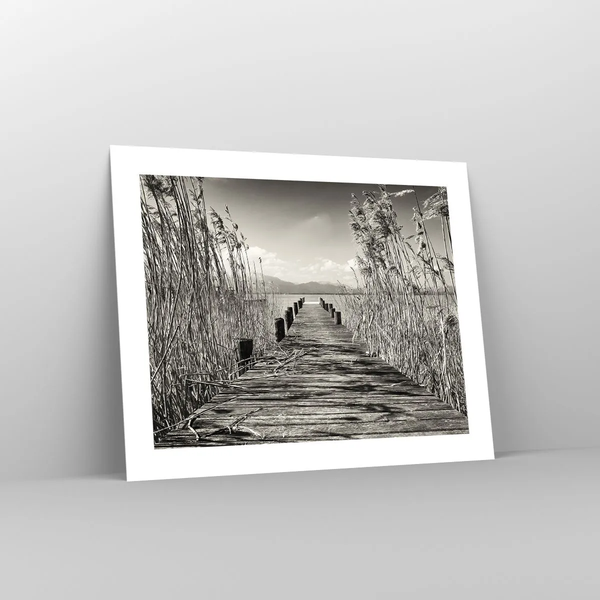 Affiche - Poster - Dans le calme de l'herbe - 50x40 cm