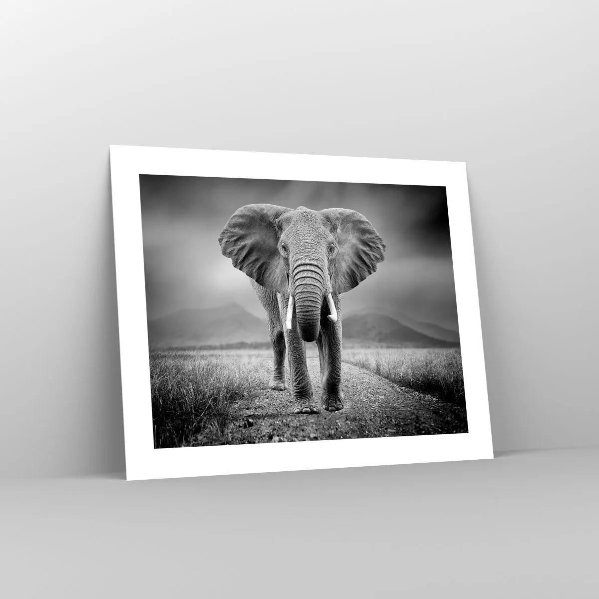 Pôster - O anfitrião dá as boas-vindas - 50x40 cm