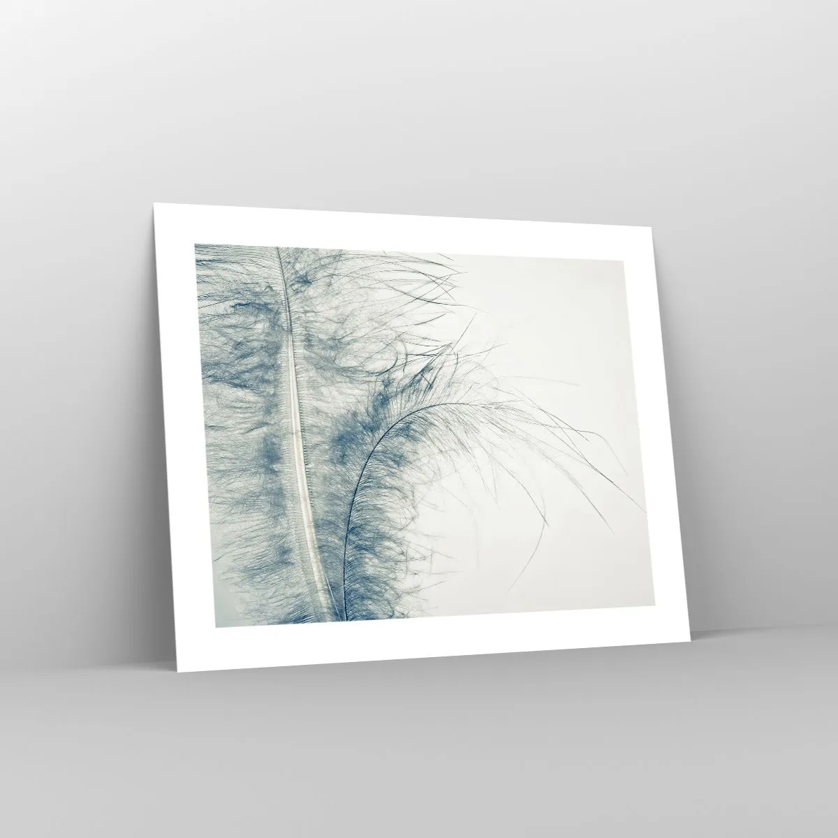 Affiche - Poster - Les sept natures - 50x40 cm