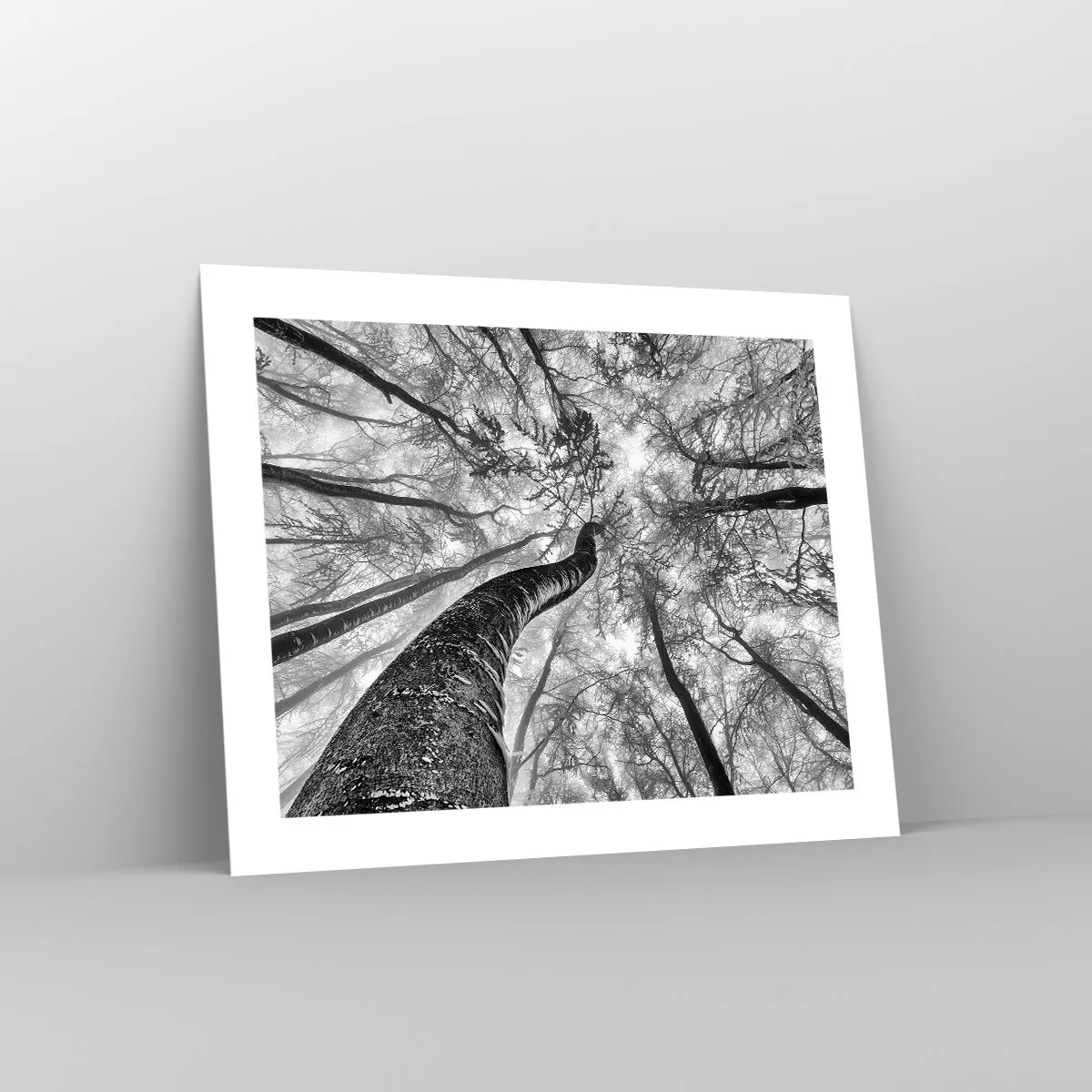 Plakat - Kapløb mod lyset - 50x40 cm