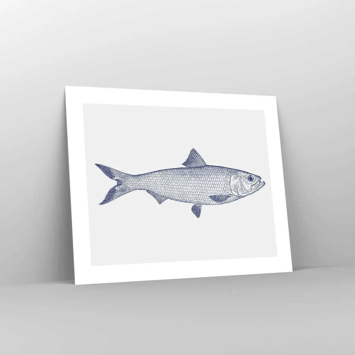 Plakat - Pozdrowienia z północnych mórz - 50x40 cm