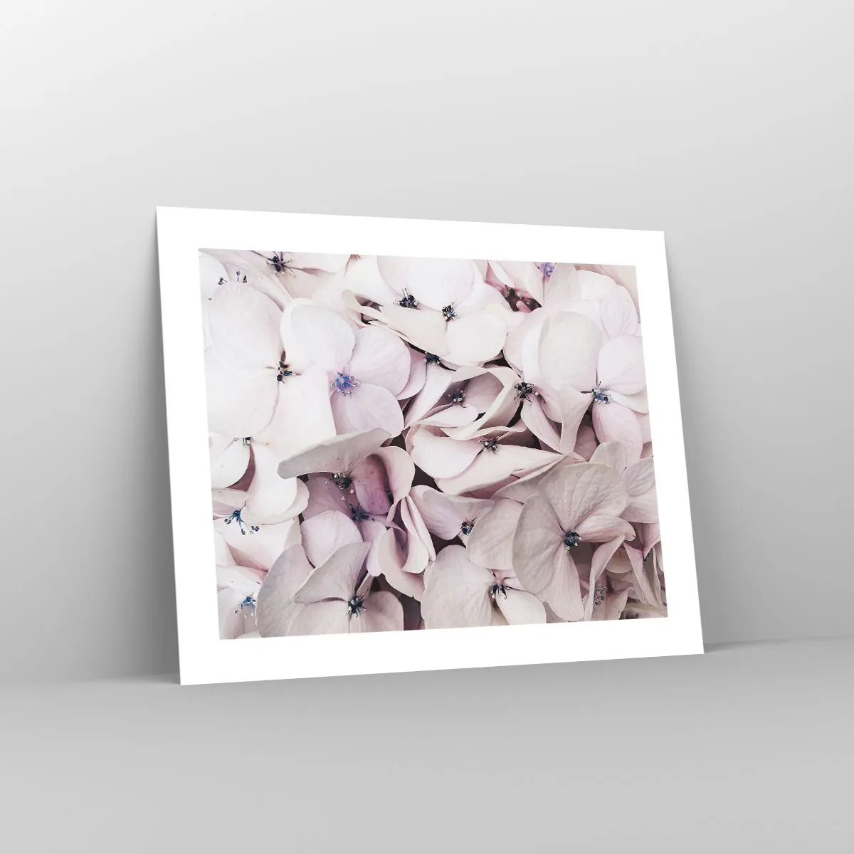 Poster - Într-un potop de flori - 50x40 cm