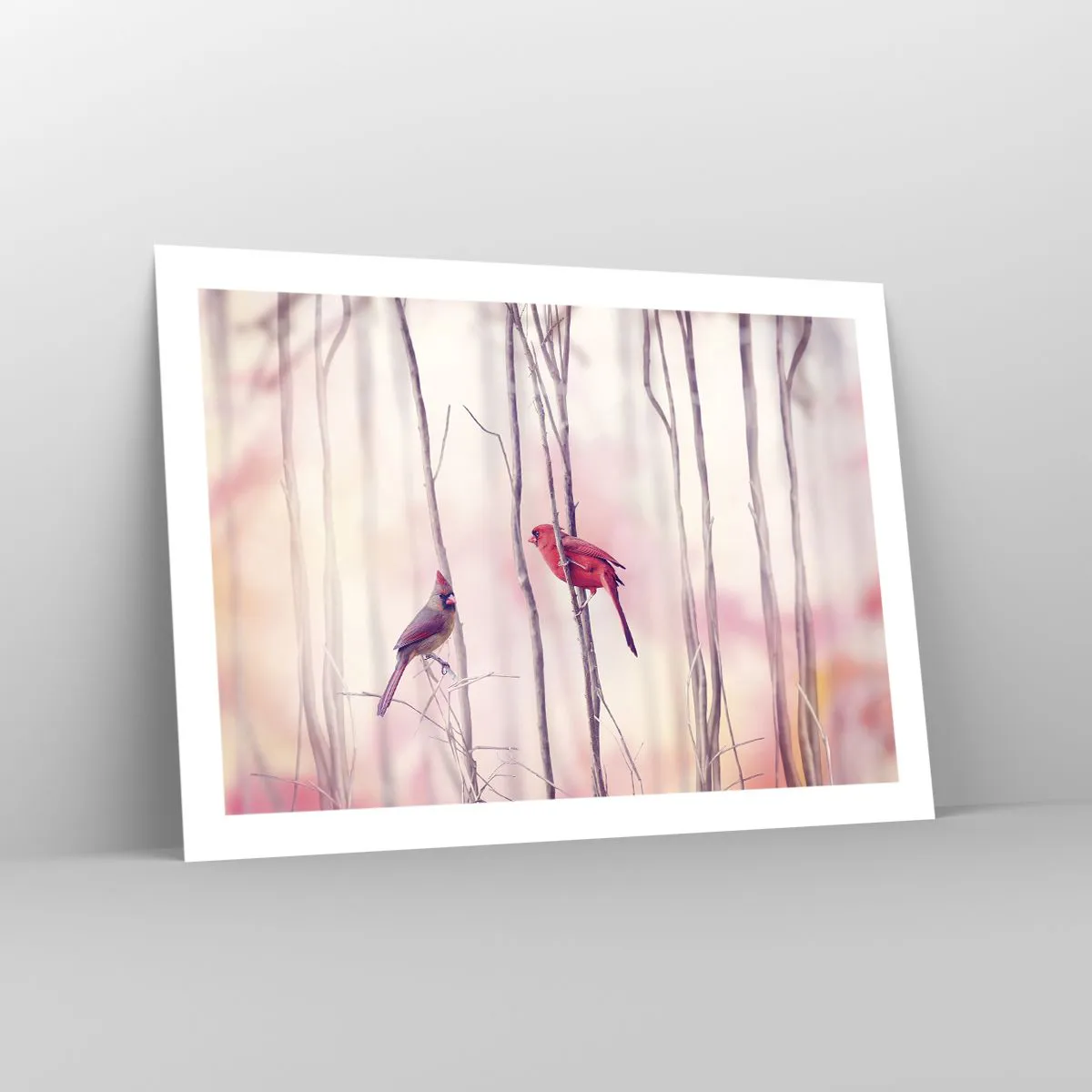 Plakat - Fortællingen om den lyserøde skov - 70x50 cm