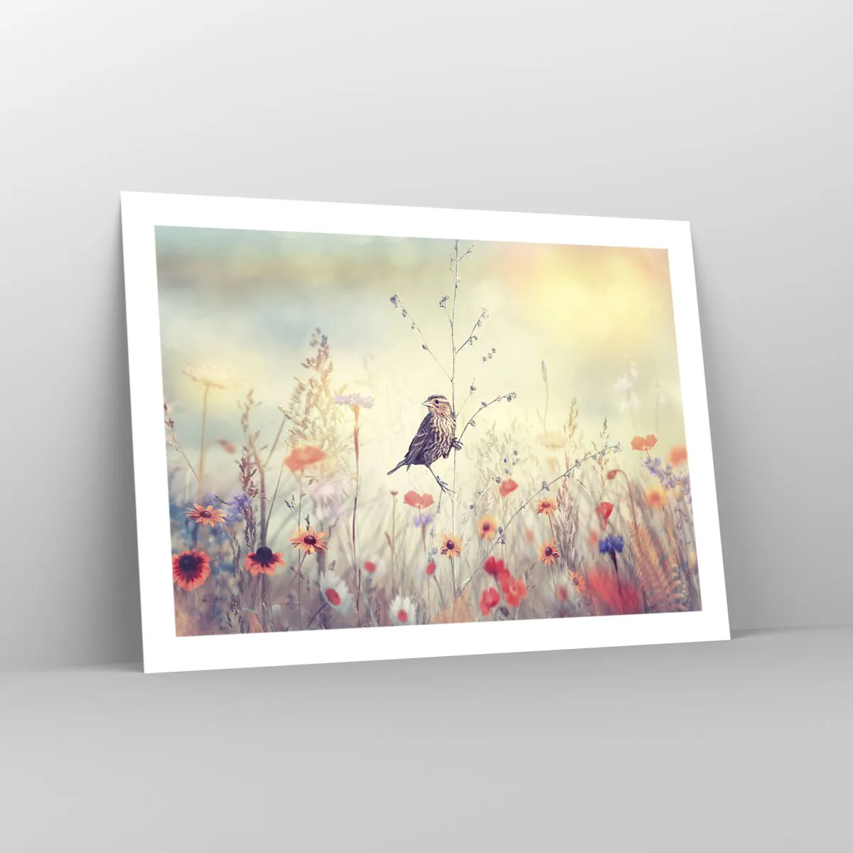 Plagát - Portrét vtáka s lúkou v pozadí - 70x50 cm